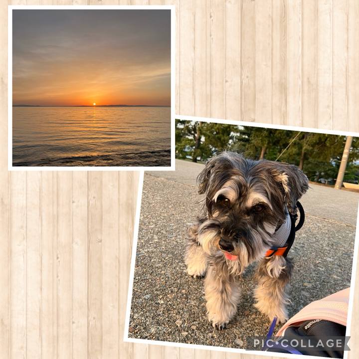 C830a80f 9918 4284 95d9 293df235cf10 1716126771992