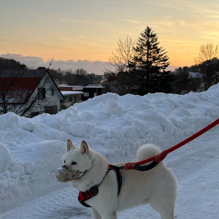 C830a850 eda8 41af baf8 92ea34b00d61 1766103321999