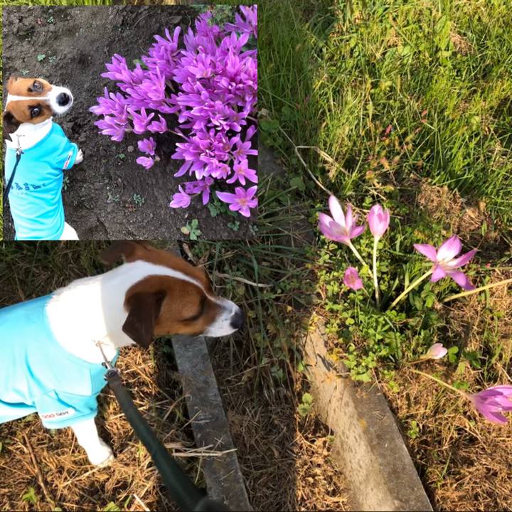 C830b5b9 d623 46c4 b239 307501787a5a 1570100520277