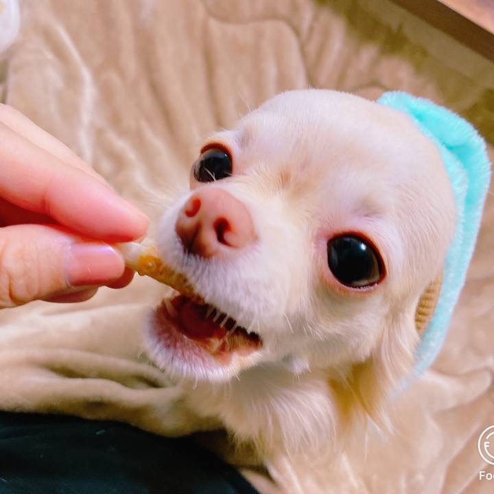 C830f47c 51b0 44bc ba7c 64453acf580c 1637237660172