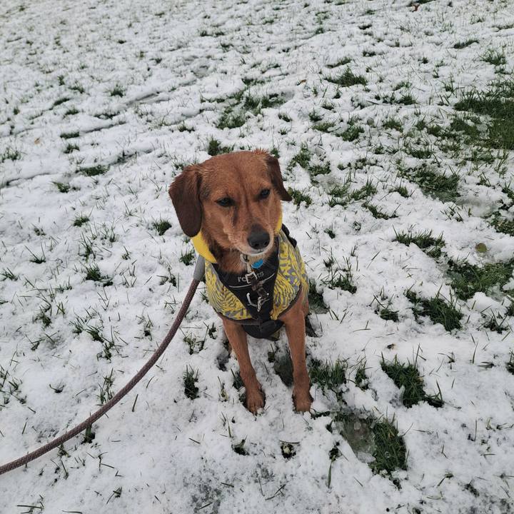 C8312898 e33d 4232 ae7a 9cec58079443 1764540232362