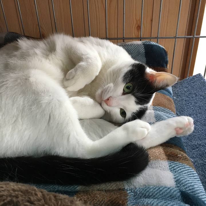 C8313d73 71ac 4599 a61c d4a550c5c741 1514269651814