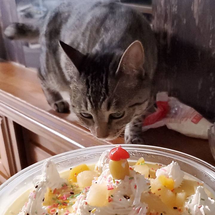 C8318323 e162 47c9 afac 022db279cdd9 1696026127590