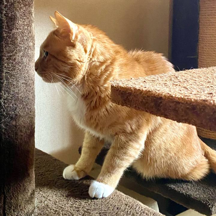 C8319a99 d1b2 4dc0 91dd 5a6b198c18cb 1764124641433