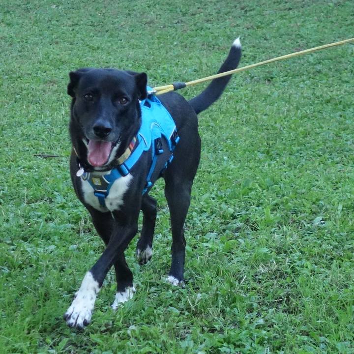 C8319af6 3441 48aa af8f 00fb92bde13d 1603584606567