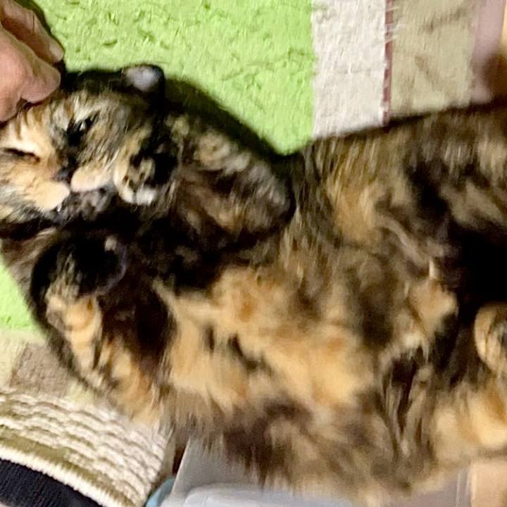 C83207a4 e73d 4651 abec 97e3f0b41b50 1738647022466