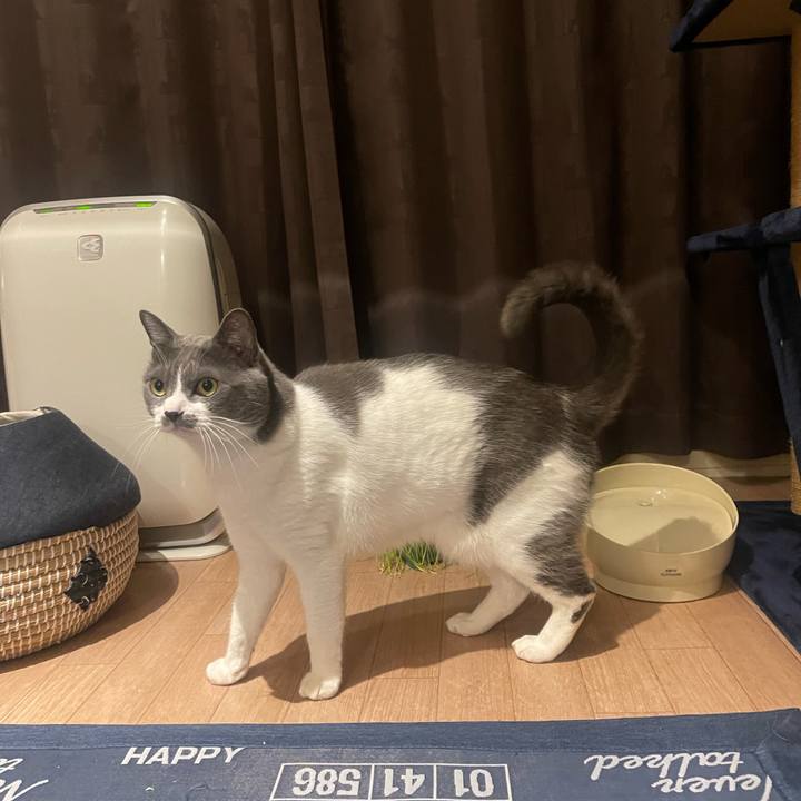 C8320f9d f0d7 4cdb aa2d 35c20ebb095f 1701947169692