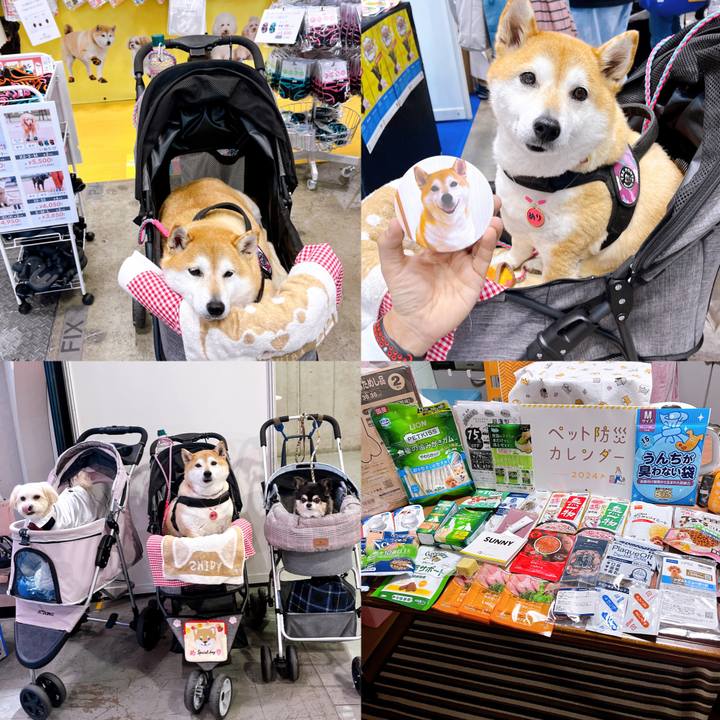 C83231fe dd2e 4e6e 8bd8 861b511b2f8f 1712321408403