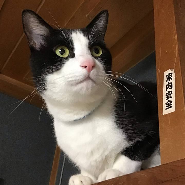 C8326f20 e8fc 4bab 8da7 f7a425752771 1712745257839