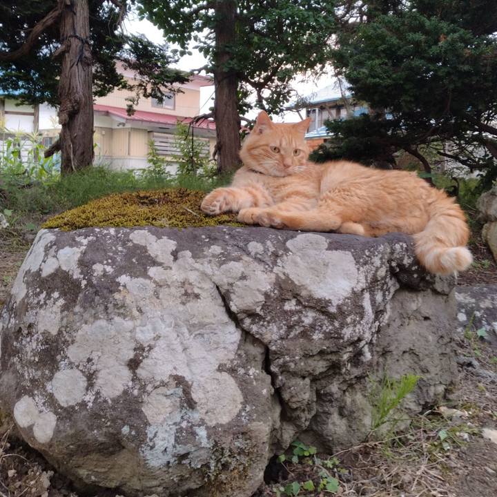 C8327cca 16fa 4a30 90b8 3c44b28fdbf3 1721382582642