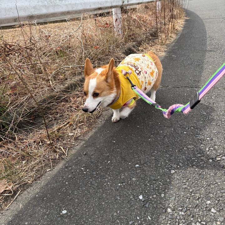 C8328177 468e 4606 a25a c8a13af0496e 1769671311353