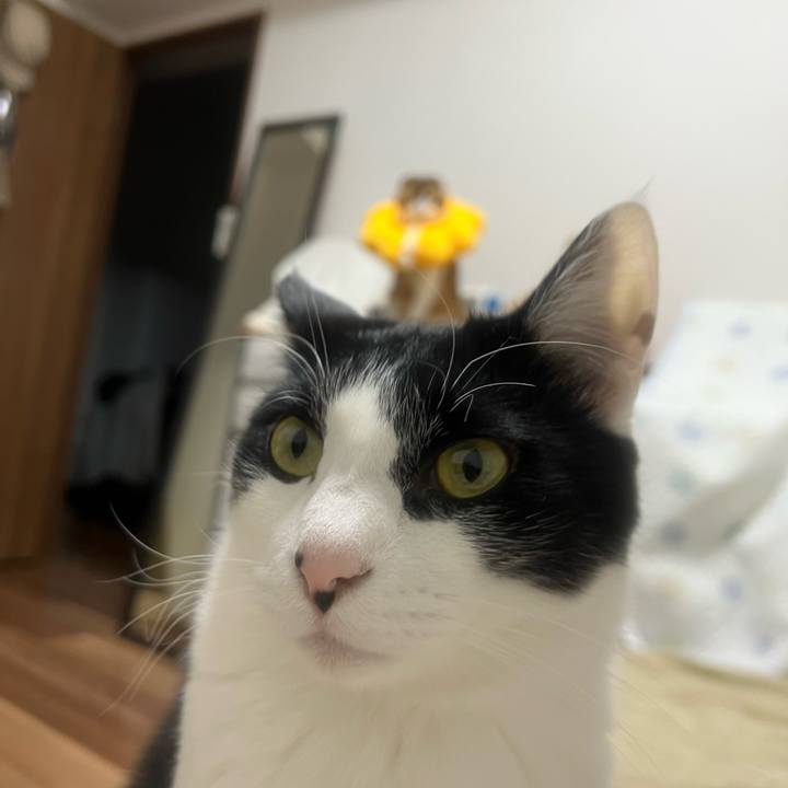 C832b133 5103 4ac6 b012 0c29aeac9748 1646255895465