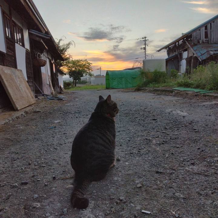 C832c5ca 523b 48ab 9466 6e025419e5c2 1663454373245