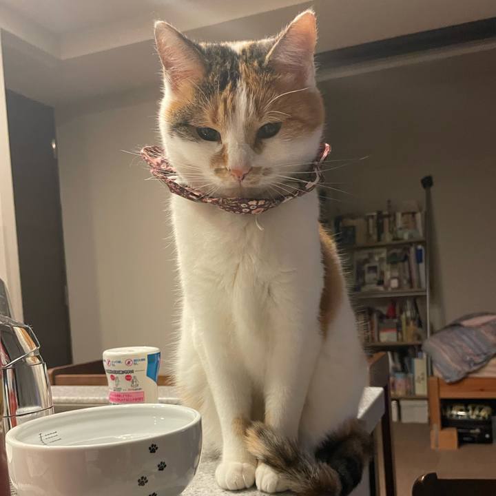 C832d040 7b81 4435 a44b 5b48b5839084 1731937218333