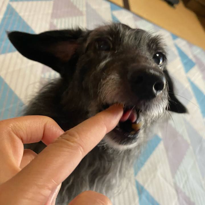 C832f1d0 dc16 414e b1e3 0df92e1e3726 1689375257359