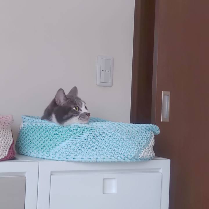 C8333756 c234 4058 99d9 3230e7d2a127 1724203381064