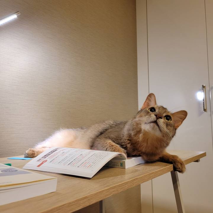 C8333951 8799 4d19 be22 099dd503e21f 1630066934951