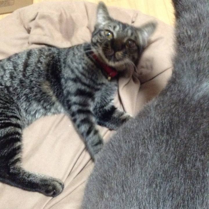 C83348b4 5b1b 4b92 87d8 119c26f93140 1539349981261