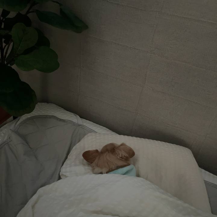 C83351e4 cca7 4335 ae42 cf811cd0ad1b 1731284095935