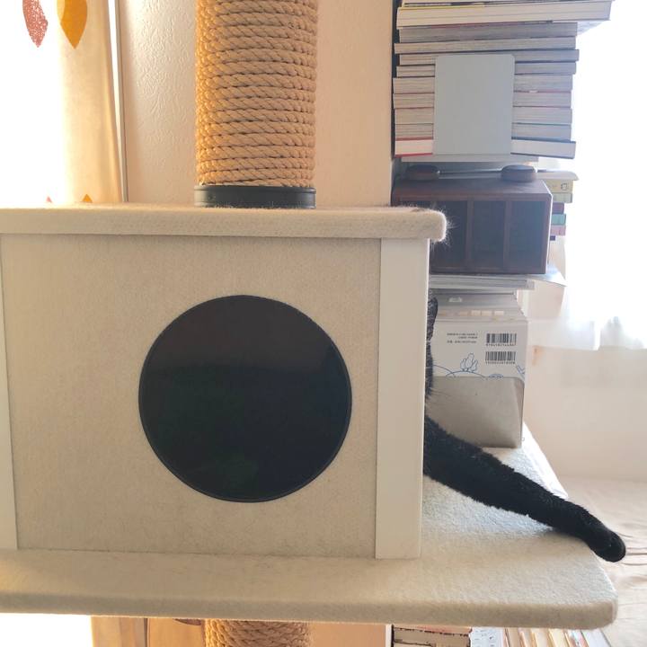 C83359d1 9c8c 4f00 bef2 fe8b2f1b3603 1570233574043