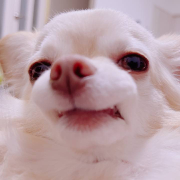 C8335db6 18e8 413a ba95 45ce8362dca0 1683026375051