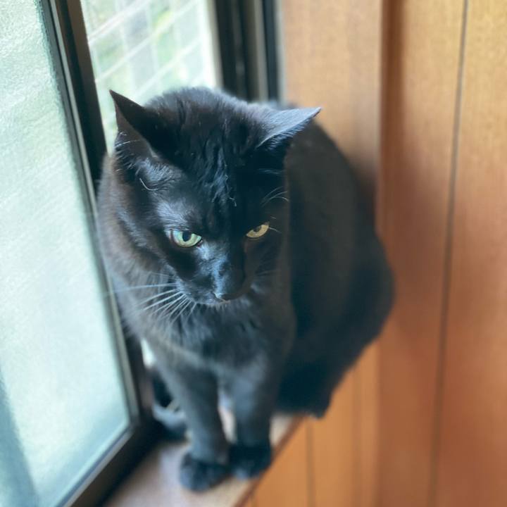 C8338e0d b8f3 421c a53f 111191825dd7 1656209581350