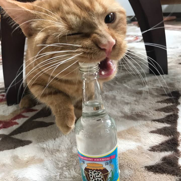 C8339c3b 0c2f 415a a9e7 f4645aa3baa7 1519260425538