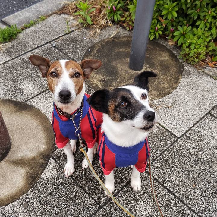 C833a5ad cf38 4b01 a434 4eea51cb6ca5 1744322498218