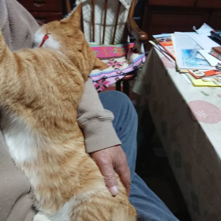 C833b450 7779 4e5f 97e4 e91873e89966 1573336947066