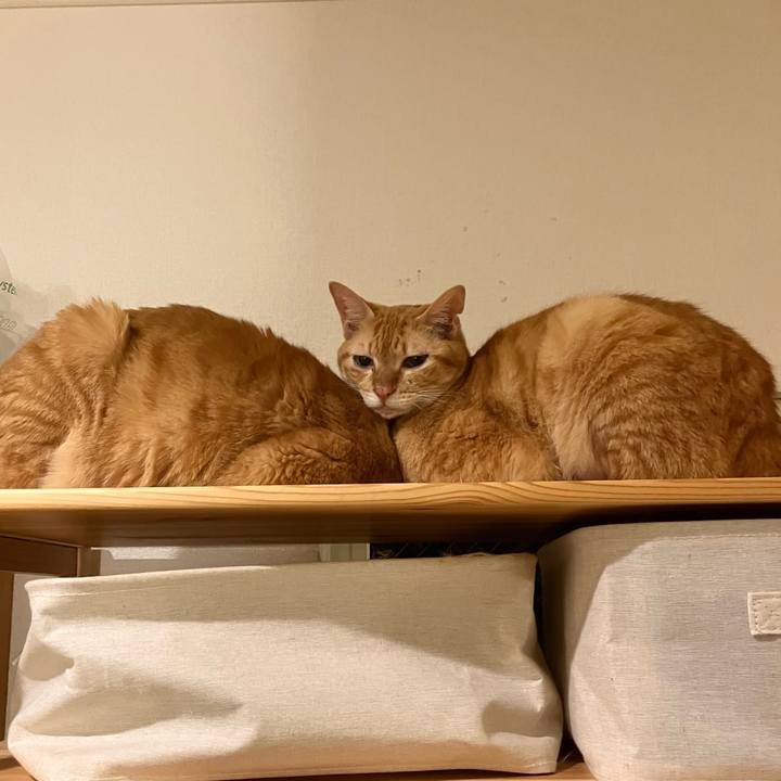 C833db9f 0d80 4bfb b9e8 1fc3bd4213a9 1765716165520