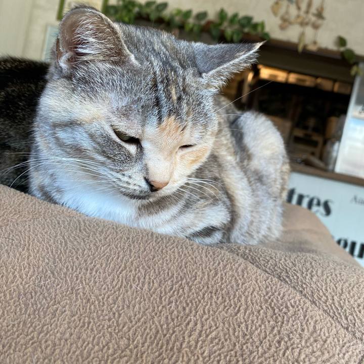 C833eef4 f6ab 4c25 b5df 3bd0ff7b6409 1612266704299