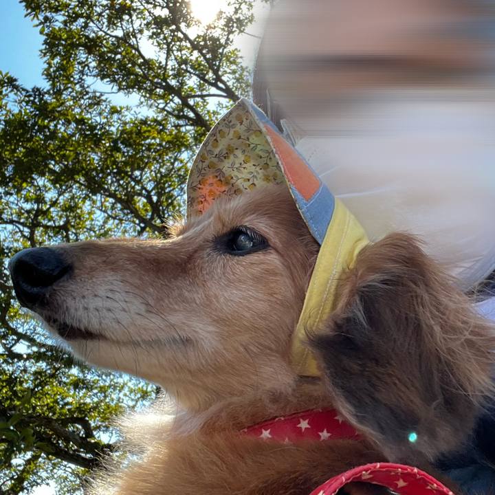 C833f8f6 959a 4e90 a258 f7edf9633074 1664541191242