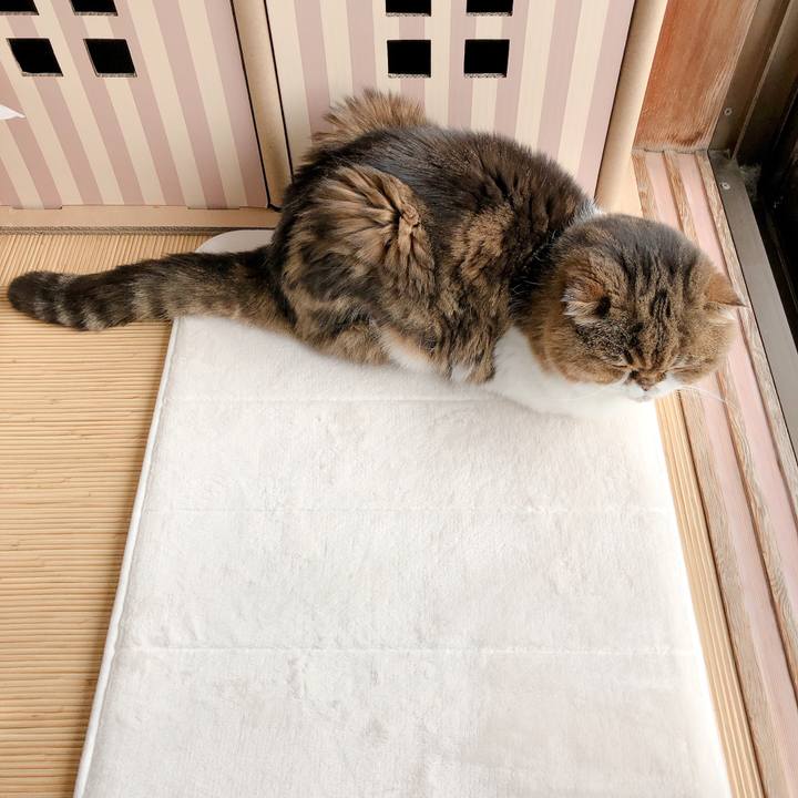 C8340b9a e819 4c24 b1d3 06e01f8df890 1590107719448