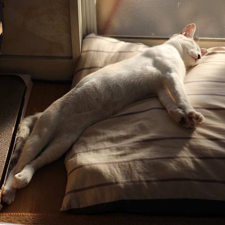 C8342961 79d1 4492 8a06 c127cd2c35ae 1610177862127