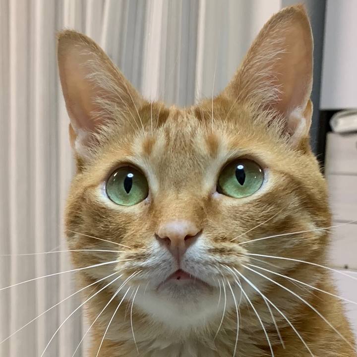 C834918a 060a 41c9 a4ac 736dd769ec5f 1593828086145