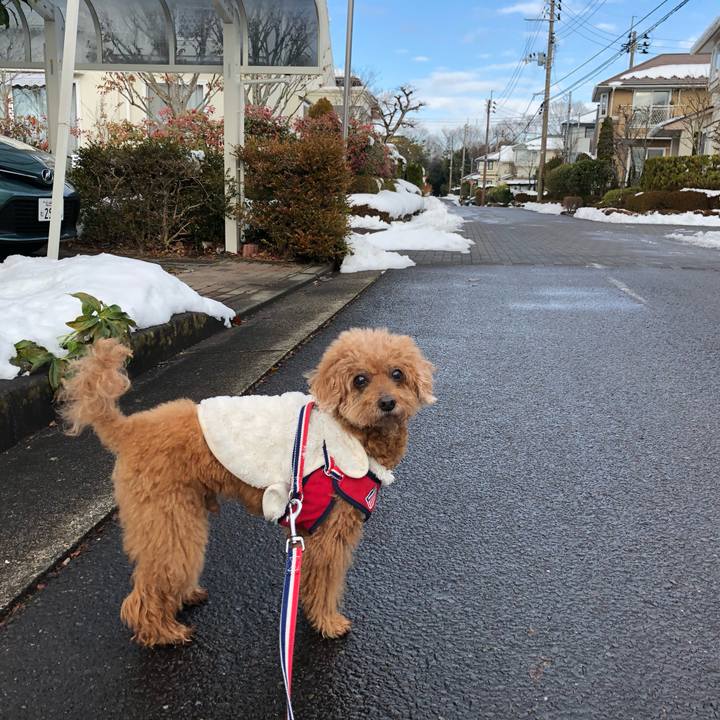 C834aeb4 e335 490d b753 7c4f3a6507f7 1608599878945