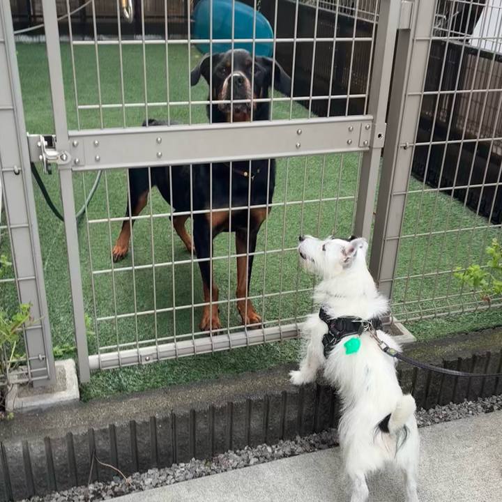 C834d91e bb8d 418d a1fa 9ca118bca058 1759361126163