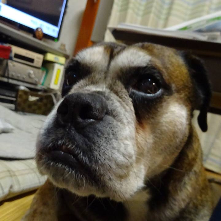 C834f662 2225 4a69 b1b0 098e0e696b99 1571403666626