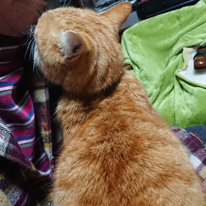 C8350534 5676 45d7 a019 e3308c82c123 1584220932558