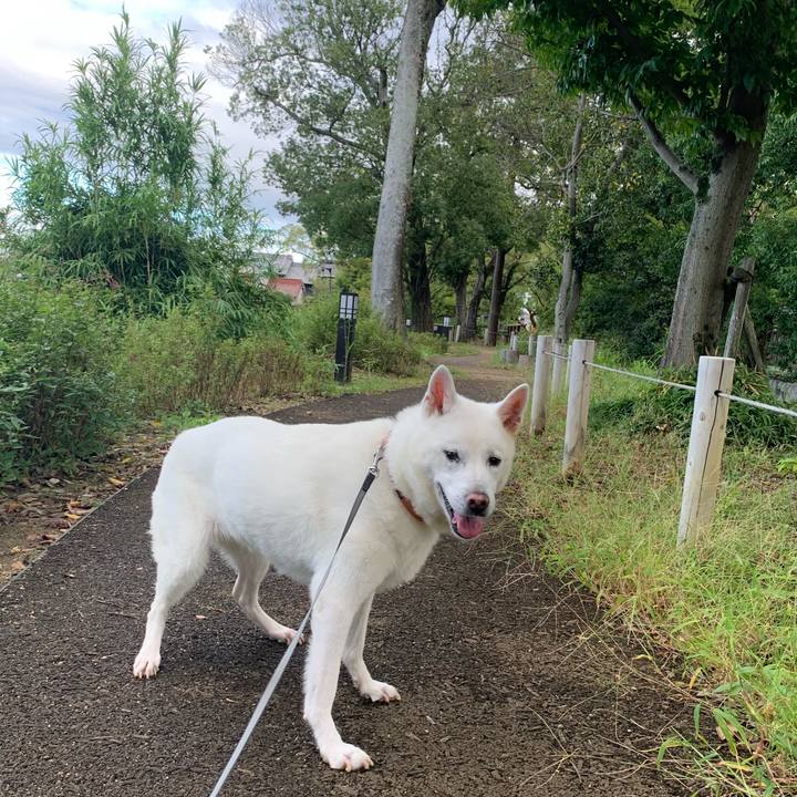 C8352a19 60fa 48b6 ba17 758308024be0 1570922931658