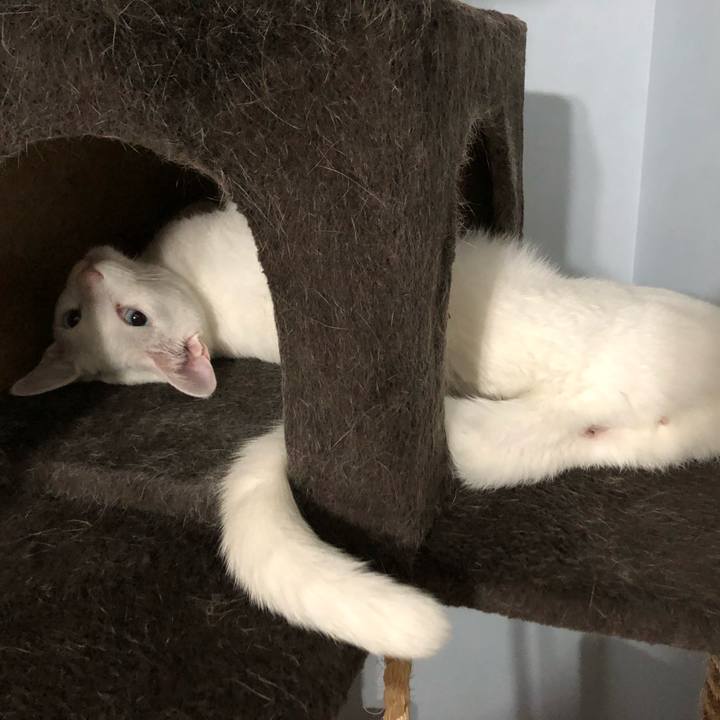 C83561ad 449a 45d2 8e29 fad64c145e9a 1553091708926