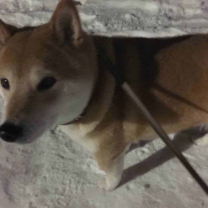 C83589e6 d31e 40ce 82be c51405e85b6a 1511268546147