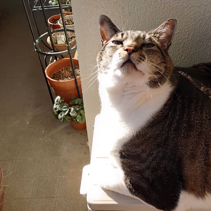 C8359121 2e7a 426b a3c4 f8c89f3a3aff 1609552753749