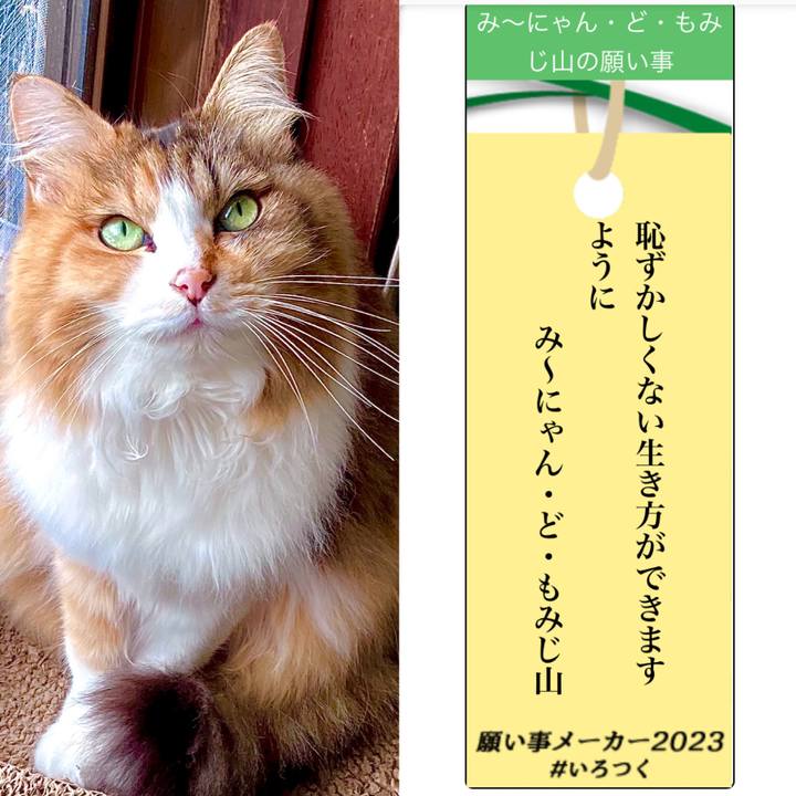 C8359f93 7615 4cdb a0f6 582e455cf1c9 1688712447522