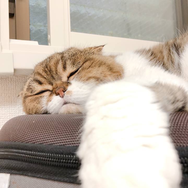 C835c764 3ed9 4b06 a5fa 8d2f87946f88 1593222538204