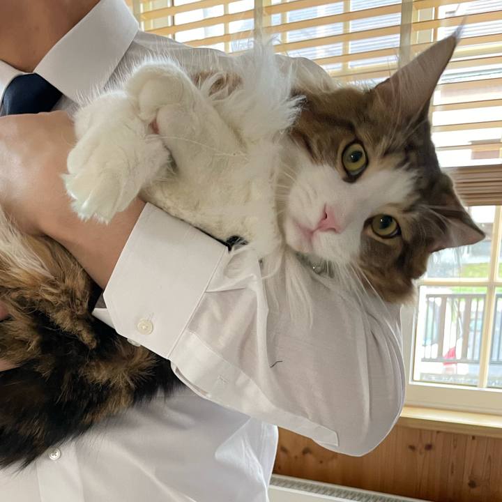 C835cb68 71ed 4e38 a8d7 7a900dea7c0d 1650578143474