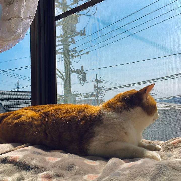 C835d921 b5ca 4b35 b071 4b5a4aee82aa 1616483317360