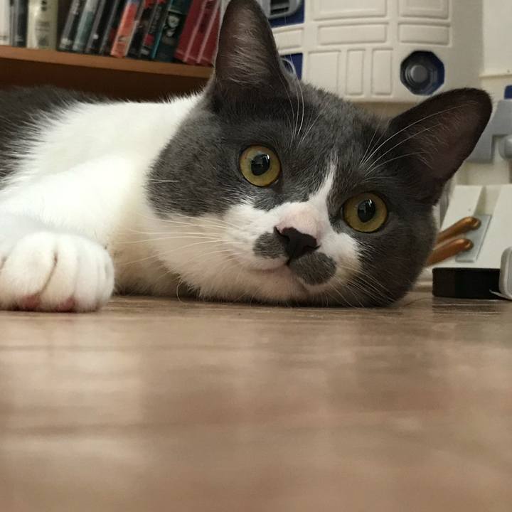 C835daca b21b 491e aac7 fe153bc3e96e 1624600949424