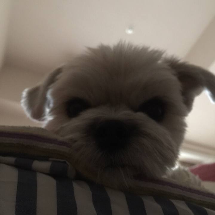 C83624a2 ee49 4e8d 8eba ad7625401018 1510997182327