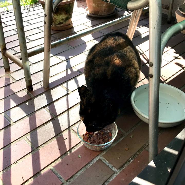 C8363060 e5d6 42ad 978a 68606a58ce18 1574998055248